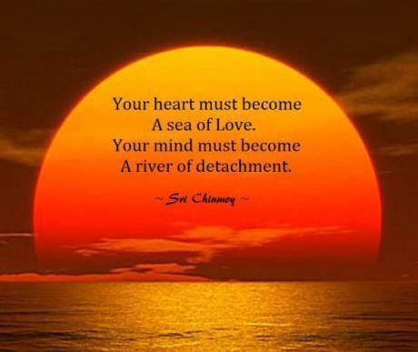 Life Coach Reno, Zach Tavcar