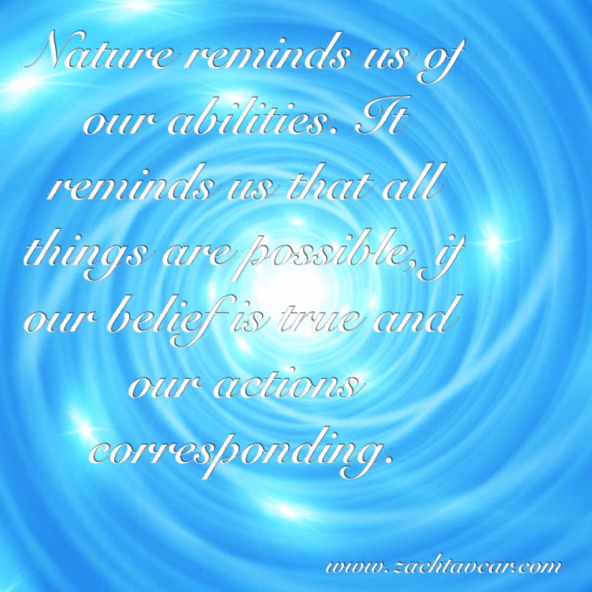 Daily Affirmation, Life Coaching Reno, Lie Coach