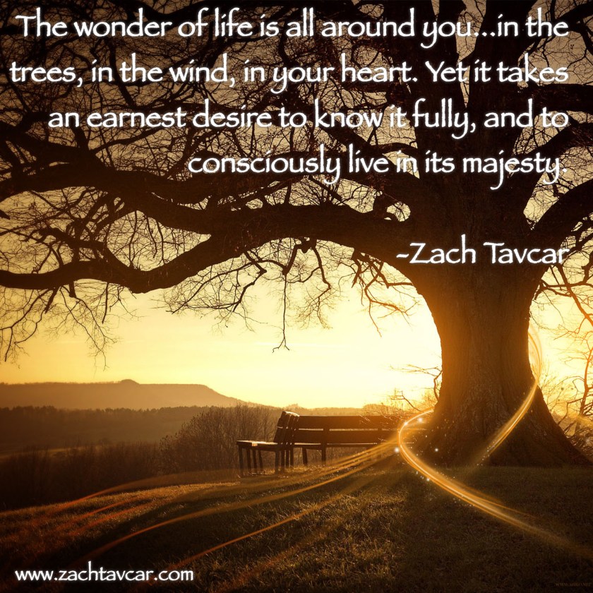 Inspirational quotes, personal trainer reno nv, life coach reno nv, Zach Tavcar, www.zachtavcar.com