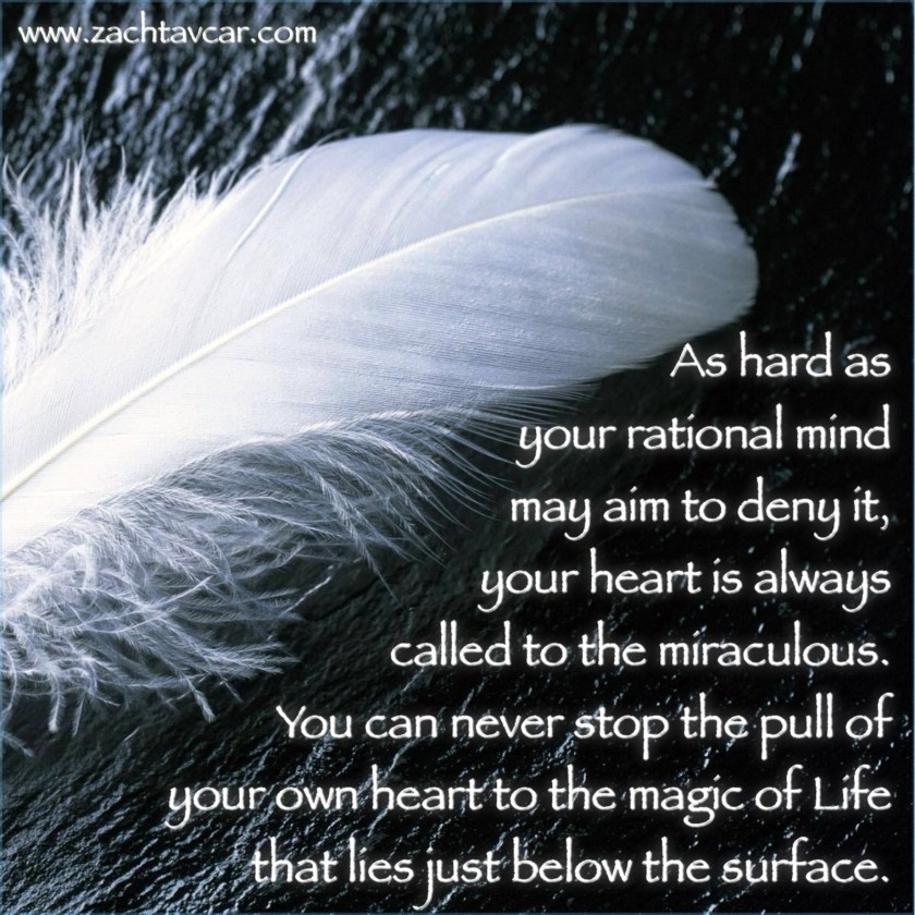 Inspirational quotes, life coach reno nevada, personal trainer reno nevada, Zach Tavcar