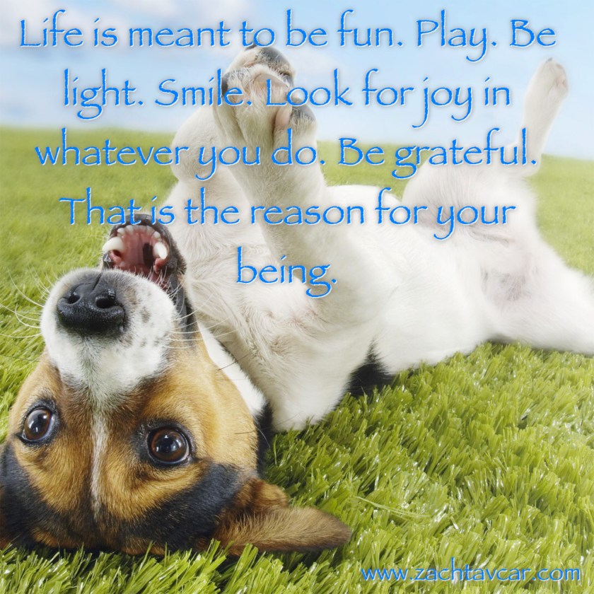 Inspirational quotes, personal training reno nv, life coaching reno nv, Zach Tavcar